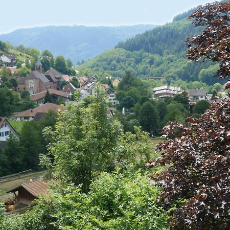 Apartmán Schnurrenhof Seebach Exteriér fotografie