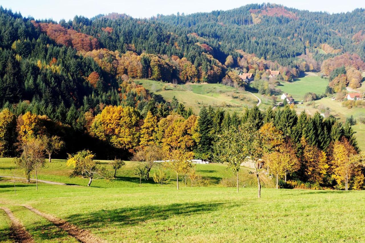 Apartmán Schnurrenhof Seebach Exteriér fotografie